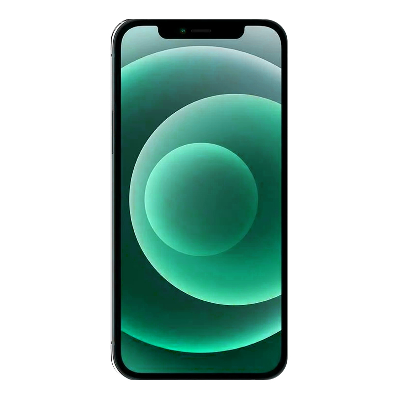 Apple iPhone 12 Reihe Datenrettung