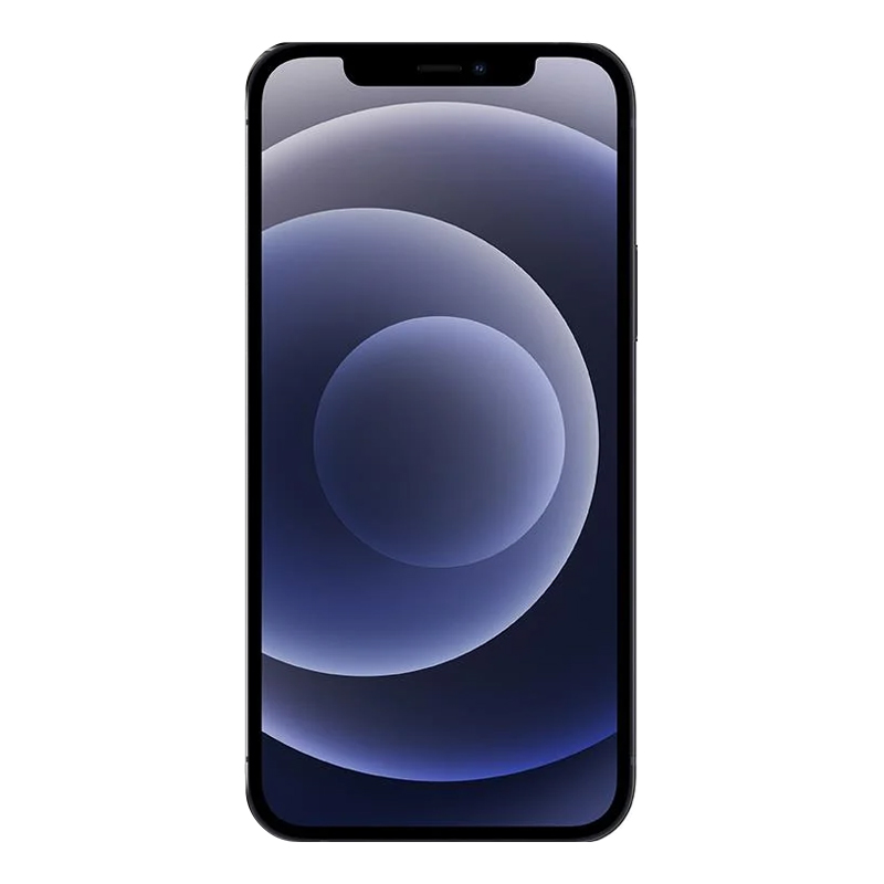 Apple iPhone 12 Akku Austausch